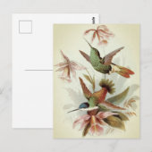 vogelillustratie briefkaart (Voorkant / Achterkant)