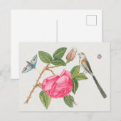  vogelillustratie briefkaart (Voorkant / Achterkant)