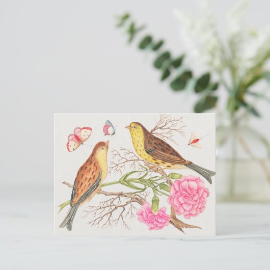  vogelillustratie briefkaart (Staand voorkant)