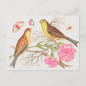  vogelillustratie briefkaart (Voorkant)