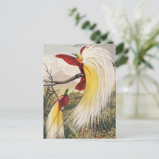  vogelillustratie briefkaart (Staand voorkant)