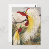  vogelillustratie briefkaart (Voorkant / Achterkant)