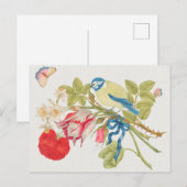  vogelillustratie briefkaart (Voorkant / Achterkant)