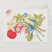  vogelillustratie briefkaart (Voorkant)