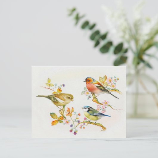 vogelillustratie briefkaart (Staand voorkant)