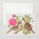  vogelillustratie briefkaart (Voorkant / Achterkant)