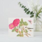  vogelillustratie briefkaart (Staand voorkant)