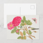  vogelillustratie briefkaart (Voorkant / Achterkant)