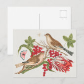  vogelillustratie briefkaart (Voorkant / Achterkant)