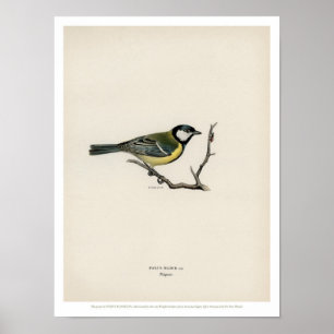  vogelillustratie - de grote reis poster