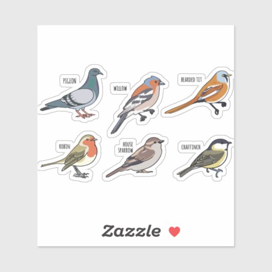 VOGELILLUSTRATIE DESIGN SET STICKER (Vel)