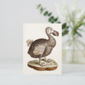  vogelillustratie Dodo Bird 1700s Dodo Birds Briefkaart (Staand voorkant)