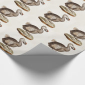  vogelillustratie Dodo Bird 1700s Dodo Birds Cadeaupapier (Hoek)