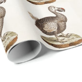 vogelillustratie Dodo Bird 1700s Dodo Birds Cadeaupapier (Rol Hoek)