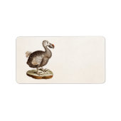  vogelillustratie Dodo Bird 1700s Dodo Birds Etiket (Voorkant)