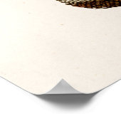  vogelillustratie Dodo Bird 1700s Dodo Birds Poster (Hoek)