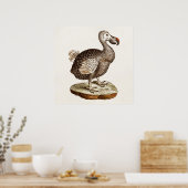  vogelillustratie Dodo Bird 1700s Dodo Birds Poster (Keuken)