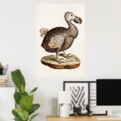 vogelillustratie Dodo Bird 1700s Dodo Birds Poster (Thuiskantoor)