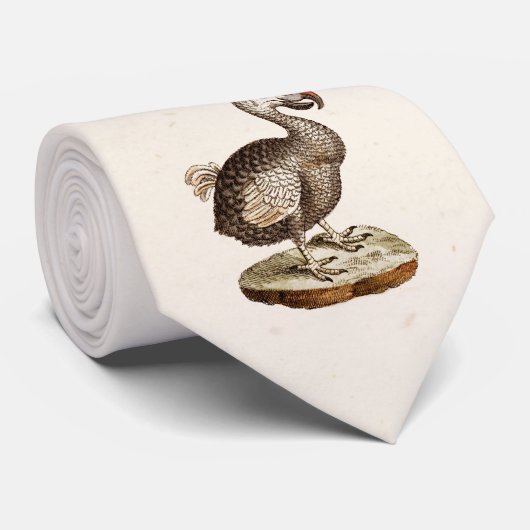  vogelillustratie Dodo Bird 1700s Dodo Birds Stropdas (Opgerold)