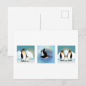 Vogelillustratie - Het Briefkaart van de familie P (Voorkant / Achterkant)