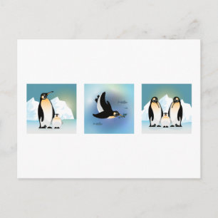 Vogelillustratie - Het Briefkaart van de familie P