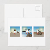 Vogelillustratie - Het Puffin-Briefkaart Briefkaart (Voorkant / Achterkant)