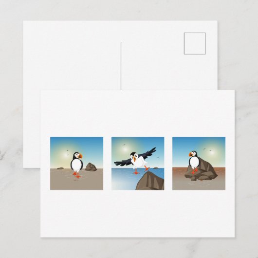 Vogelillustratie - Het Puffin-Briefkaart Briefkaart (Voorkant / Achterkant)