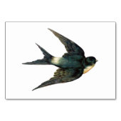  vogelillustratie kaart (Voorkant)