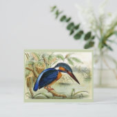  vogelillustratie Kingfisher Briefkaart (Staand voorkant)