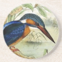 vogelillustratie Kingfisher