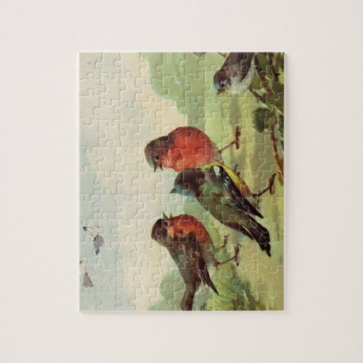  vogelillustratie legpuzzel (Verticaal)