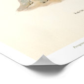  vogelillustratie - Peregrine Falcon Poster (Hoek)