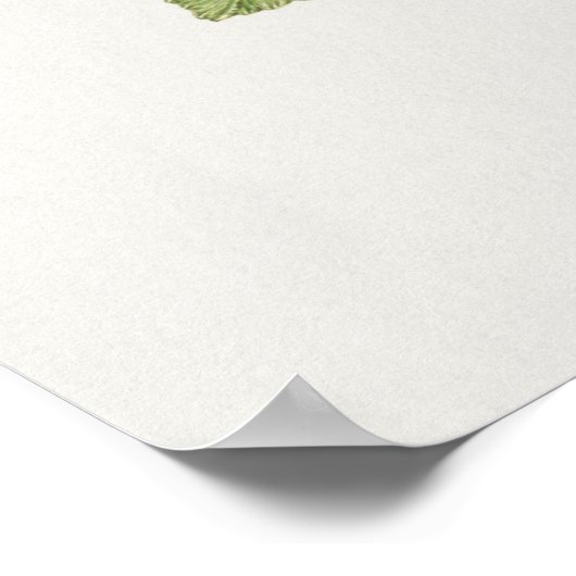  vogelillustratie poster (Hoek)