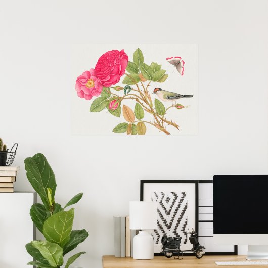  vogelillustratie poster (Thuiskantoor)