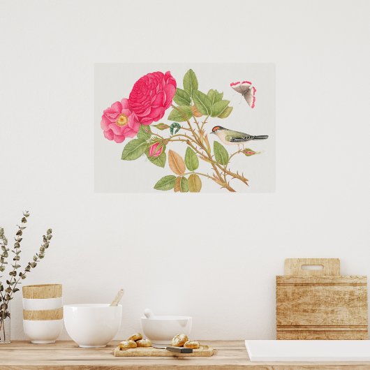  vogelillustratie poster (Keuken)