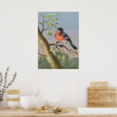 vogelillustratie poster (Keuken)