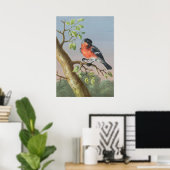 vogelillustratie poster (Thuiskantoor)
