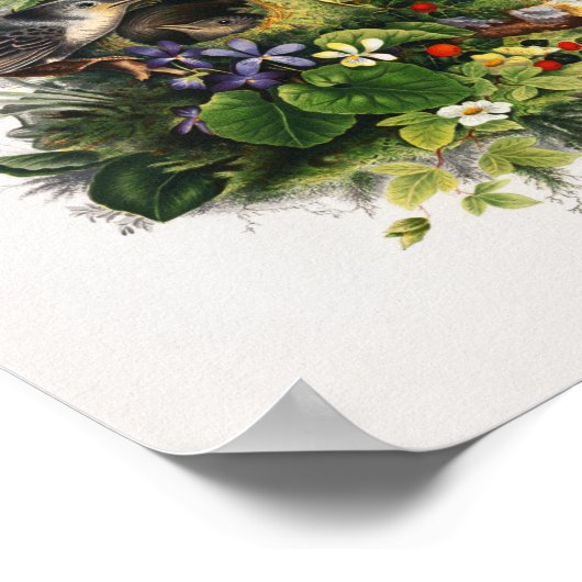  vogelillustratie poster (Hoek)