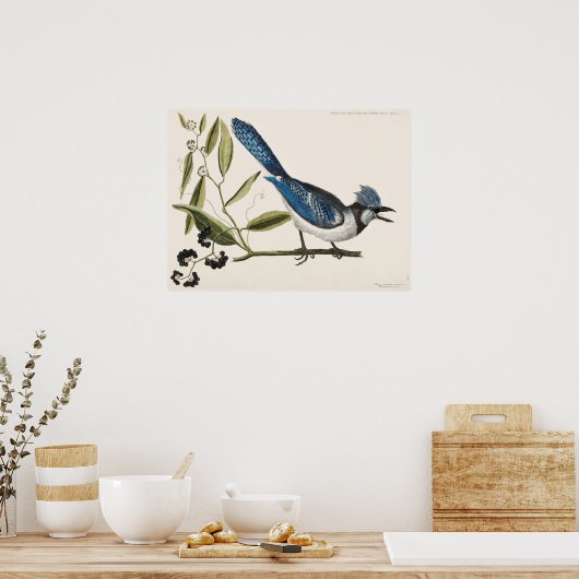 vogelillustratie poster (Keuken)