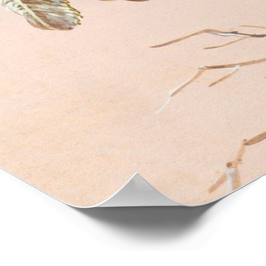  vogelillustratie poster (Hoek)