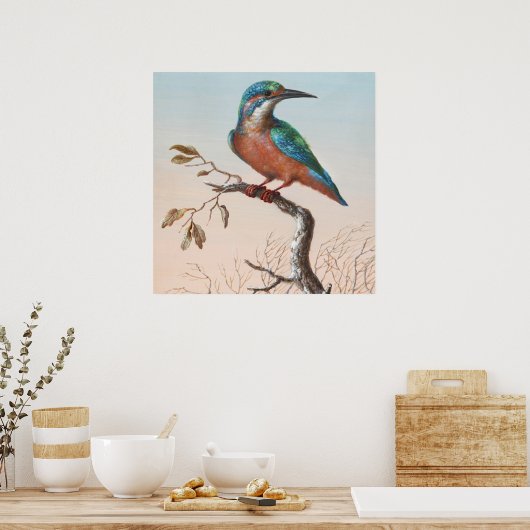  vogelillustratie poster (Keuken)