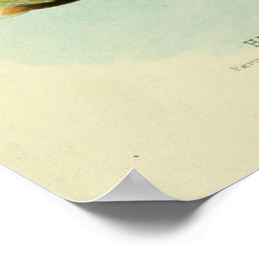  vogelillustratie poster (Hoek)