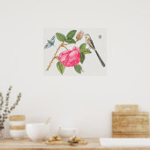  vogelillustratie poster (Keuken)