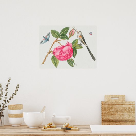  vogelillustratie poster (Keuken)