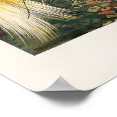 vogelillustratie poster (Hoek)