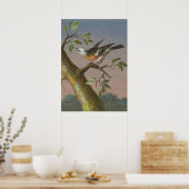  vogelillustratie poster (Keuken)