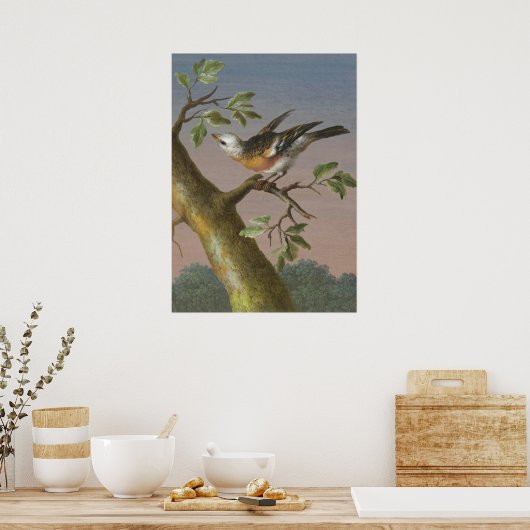  vogelillustratie poster (Keuken)