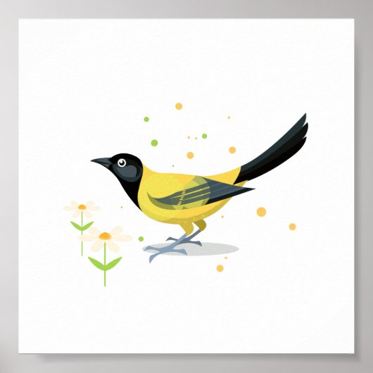 Vogelillustratie Poster (Voorkant)