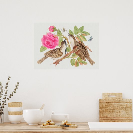  vogelillustratie poster (Keuken)