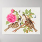  vogelillustratie poster (Voorkant)